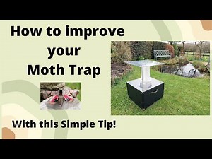 How to Attract More Moths to Your Trap – Proven Tip!
