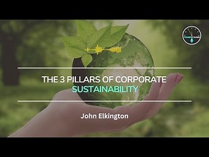 The 3 pillars of corporate sustainability | TIMESTAND THE THEORY EP.2