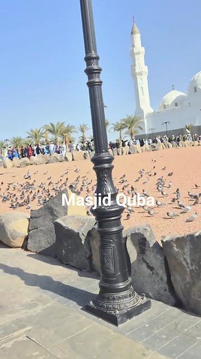 #عاقب #بس_ڈرائیور_مکہ_مدینہ #bus_driver_makkah_madinah #makkaha_madina_lovers #facebookpageシ #facebookreel #viralvideos #buss | Aqib Sayyad