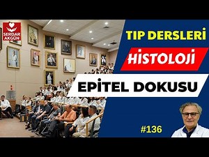 136. Histoloji , Epitel Dokusu, Tıp fakültesi, Serdar Akgün