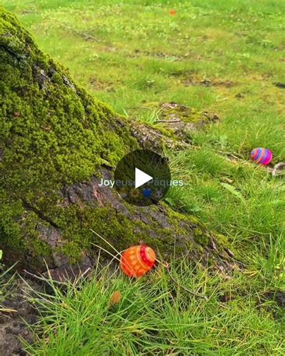 Ce week-end, le lapin de Pâques est passé chez Perlav et SW Services pour gâter nos travailleurs … et leurs familles 🐰🐣🍫 Un joli moment de partage rempli de sourires et de chocolat 💛 Merci à… | Perlav