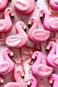 Flamingo Macarons