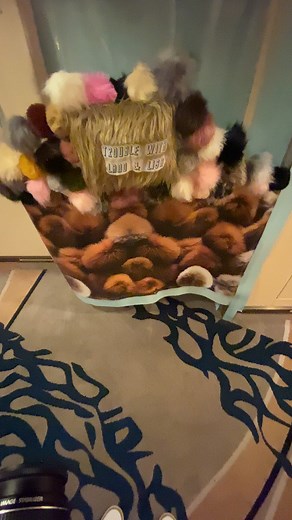 Winner of the Star Trek Cruise door decorating competition! | Star Trek