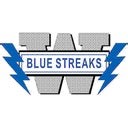 Woodstock High School (IL) Girls  Basketball