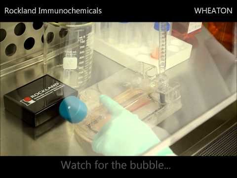 WHEATON CELLine 1000 Flask Demonstration