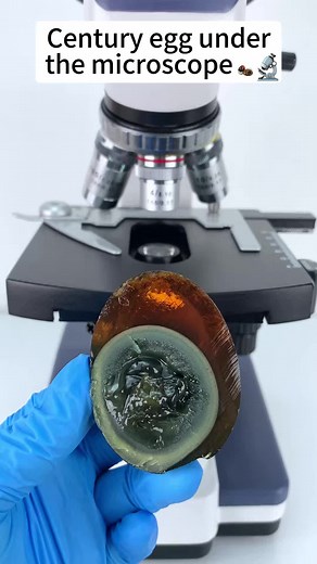 Century Egg Magnified 400x | Microscope Ideas & Egg Cells