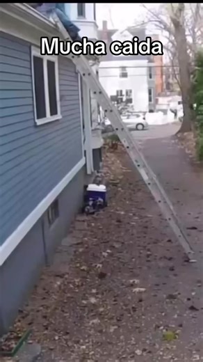 Comedia familiar: Julián y las caídas graciosas