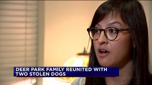 Deer Park family reunited with stolen dogs sold on Craiglist