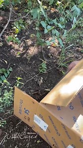 30K views · 283 reactions | Happy Freedom Friday to these five...