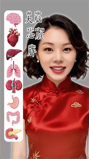 Human Body Internal Organs in Chinese | Chinese Vocabulary