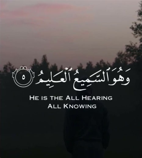 quran recitation with english translation