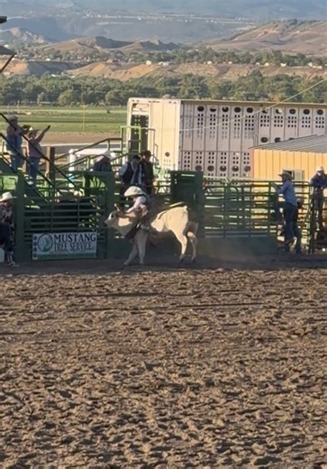 Rodeo night in Delta, Co. We had so much fun ✨🤩 #rodeo #bullriding #smalltown #countrylife #westernslopecolorado