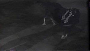 The Young 6 Pan (1998 VHS) : dc2907918 : Free Download, Borrow, and Streaming : Internet Archive