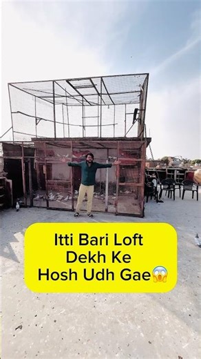 || itti Bari Loft Dekh Ke Hosh Udh Gae😱|| #minivlog #subscribe #ytshorts #pigeon #kabutar