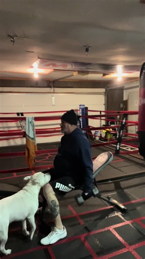 The Garage Boxing Findlay (@thegarageboxingfindlay)’s videos with sonido original - Old Music