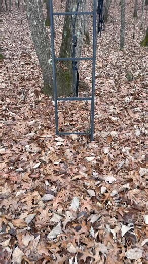 Deer season is coming to an end and stands are coming down! Do you use a saftey line on your stands? Let us know your saftey tips! #hunting #treestand #treestandsafety #whitetail | Hurricane Creek Lodge