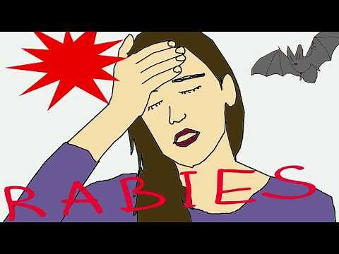 Rabies -Symptoms and Treatment - Explained Simply