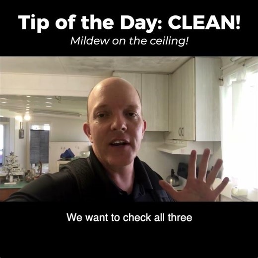 I SEE SPOTS! Ceiling mildew, should I be concerned?