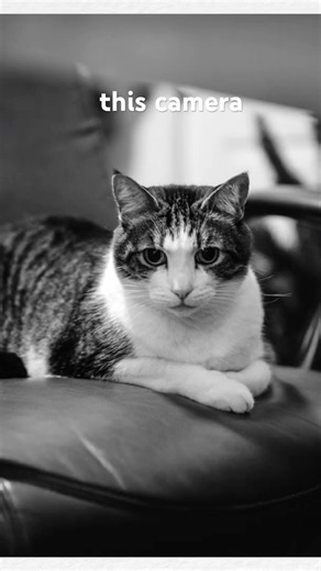 Leica M Monochrome felt like film? #film #leica #monochrome #compactcamera #photography