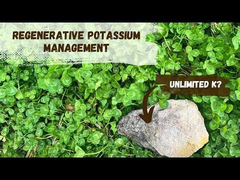 Regenerative Potassium Management