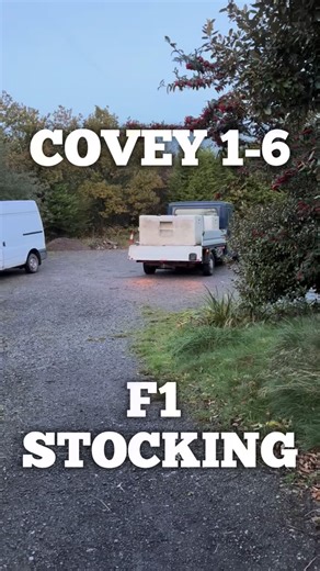 Partridge Lakes Fishery on Instagram: "Restocking Coveys 1-6! 🐟 We’ve kicked off our fish stocking of 2025 with the Coveys today! 🎣 Let’s go into what went in! ⬇️ 🔸 Stunning 8”-2lbs mixed sized pure F1s went into each of the Coveys in equal amounts of 300lbs in weight - about 400 fish per lake with Covey 5 having a little extra at the end! What else is coming!? ➡️ We then have on order to arrive in the next coming weeks - 10”-3lbs mixed sized Carp again similar amounts to ALSO go into all Cov