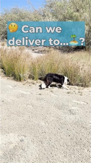 Can We Ship a House to a Remote Island? 🏝️