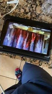 Sesame Street I Just Adore Four