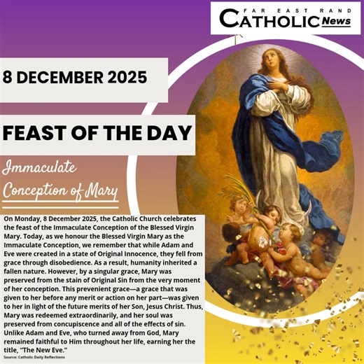 On Monday, 8 December 2025, Catholics worldwide celebrate the Solemnity of the Immaculate Conception of the Blessed Virgin Mary. Happy feast day, family. #catholicnews #fareastrandcatholicnews #immaculateconception #virginmary @followers | Far East Rand Catholic News