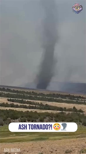 Nature just created a fire-powered dust devil and it’s terrifying 🤯🔥 | Now I've Seen Everything