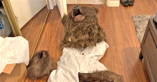 Human in Bear Suit Was Used to Defraud Insurance Companies, Officials Say