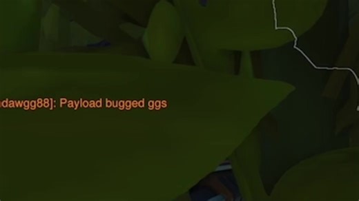 Dealing with the Payload Bug in Overwatch