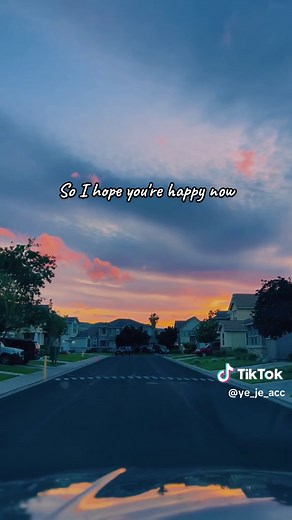 Carly Pearce & Lee Brice- I Hope You're Happy Now (Lyric Video)
