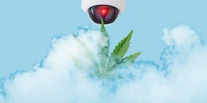 How Weed Dispensaries Protect Their Stash. And Their Cash. And Their Customers.