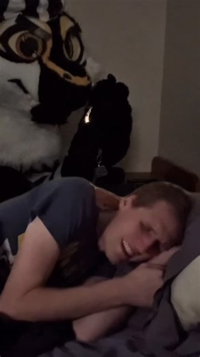 Birds on Instagram: "HAPPY HALLOWEEN!!! 🎃 😂 . . . ✨DISCORD LINK IN MY BIO ✨ . . Tags: #furry #furries #fursuit #fursuiter #water #fursuiting #cutefursuit #furriesofinstagram #paws #fursuits #floofy #furryfandom #fur #cosplay #cosplayer #costume #tail #yellow #black #furrycostume #birbswings #beans #furrymeme #furryart #birbs"