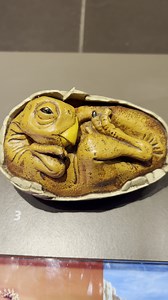 A real dinosaur egg! 🥚 #dinosaur #egg #science | Our Life is Magic