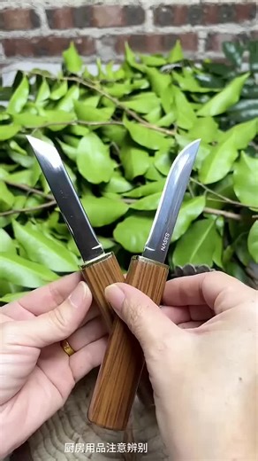 Top Knife Recommendations for Your Kitchen