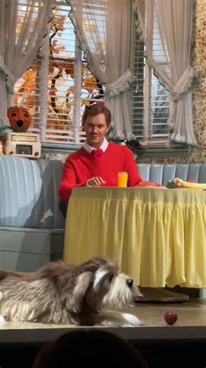 If you’ve had a rough week, just remember the iconic words from Walt Disney’s Carousel of Progress 🎶 | Doctor Disney