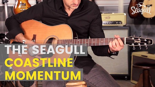 The new Seagull Coastline Momentum comes with the look and feel of a high-end acoustic guitar but without the big price tag. Featuring an exceptionally thin high-gloss custom polished finish, Wild Cherry back & sides, solid Cedar top and Fishman-Sonitone electronics, this guitar highlights the exceptional workmanship that Seagull is known for at a low price of $499 (US street price). | Seagull Guitars