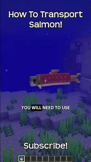 How To Transport Salmon In Minecraft?!