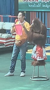 Orangutan Magic trick | Finger Knights 3