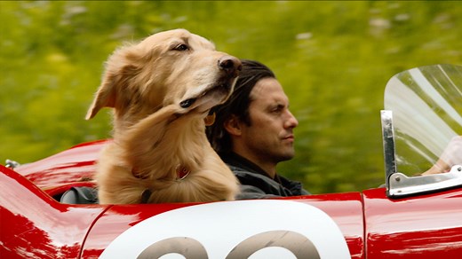 The Art of Racing in the Rain (2019) - Movie