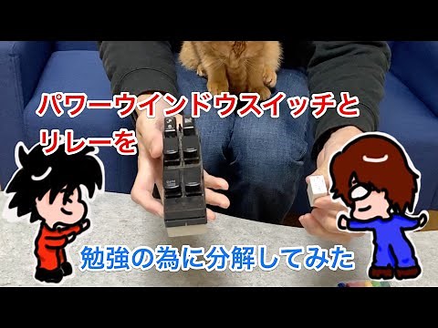 【分解動画】パワーウインドウスイッチとリレーをバラしてみた