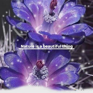 It's just amazing how beautiful & colorful nature really is. 🌸💜. I made this video for y'all. Hope y'all will enjoy. | Nature is a beautiful thing