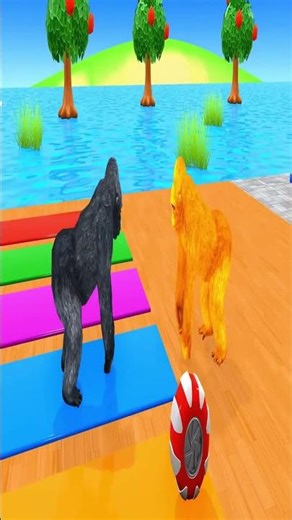 ABC Song with Timmy! Learn the Alphabet!