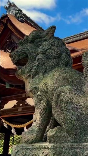 Nobody Talks About This City in Japan 🇯🇵 Otsu