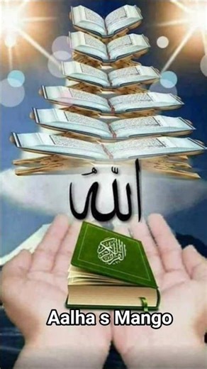 Islamic Status in Short Video: Everything You Need To Know