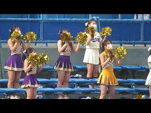 【明治大学チアリーダー】春３戦目・8回表攻撃の応援・ホームランで１点差に追い上げて盛り上がる【2021 4 24】