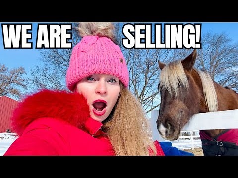 Horses For Sale? People Leaving? New Property? We Have Updates!