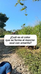 Cuál es el color que se forma al mezclar azul con amarillo | Dinia