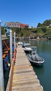 22K views · 910 reactions | Pretty little harbor right now, it’s just absolutely beautiful out here #depoebayoregon #oregoncoast #oregonexplored #Oregon #DepoeBay | Discovering Depoe Bay Oregon | Facebook